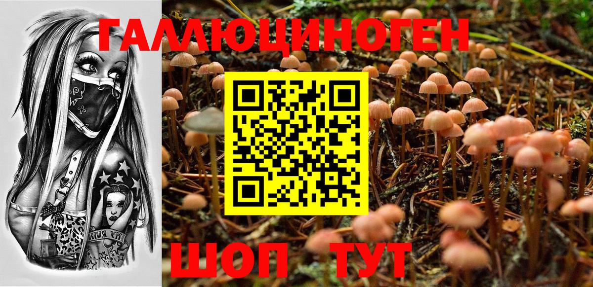 Галлюциногенные грибы мухоморы Холмск